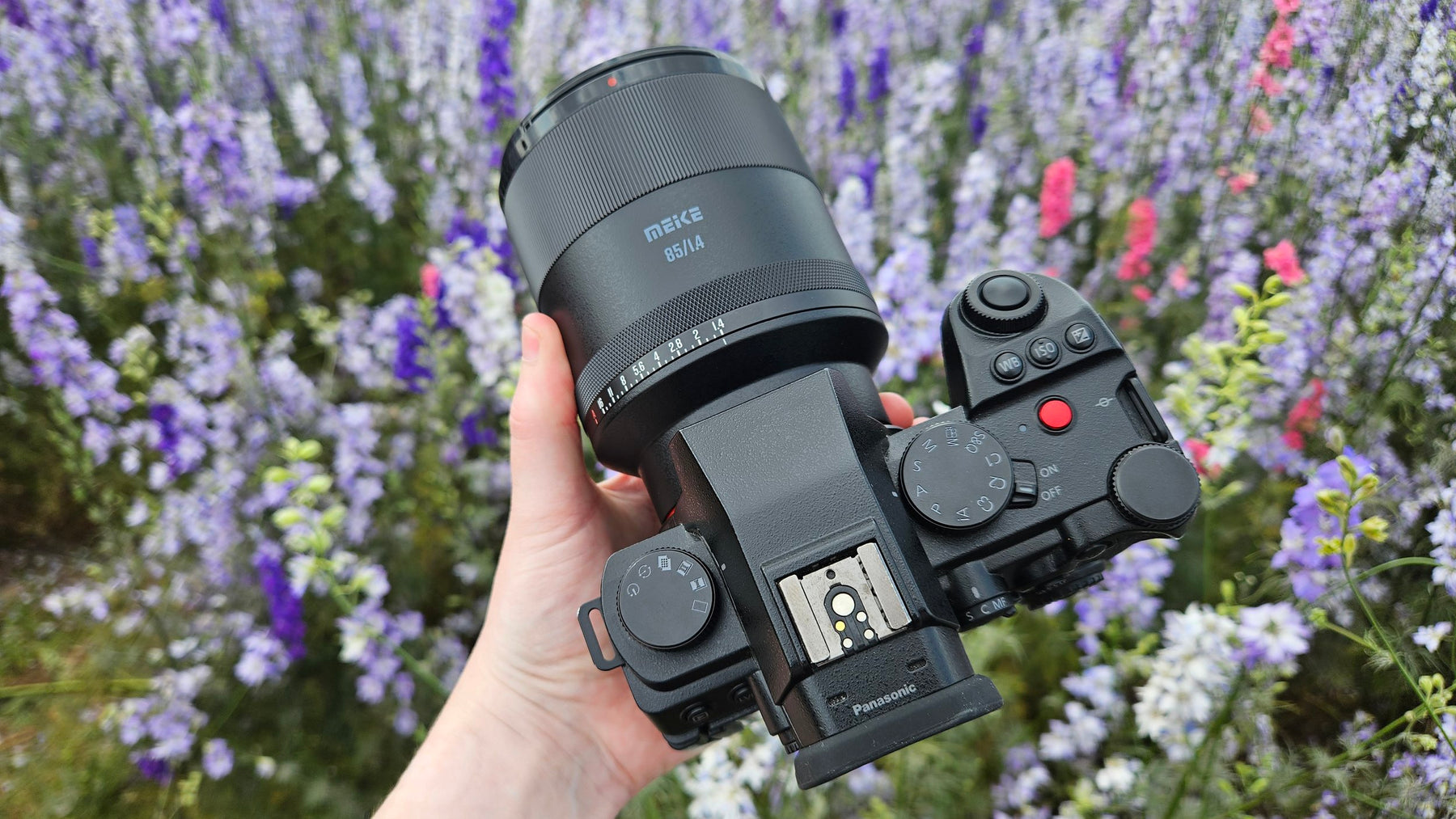 Meike 85mm F1.4 Auto Focus review