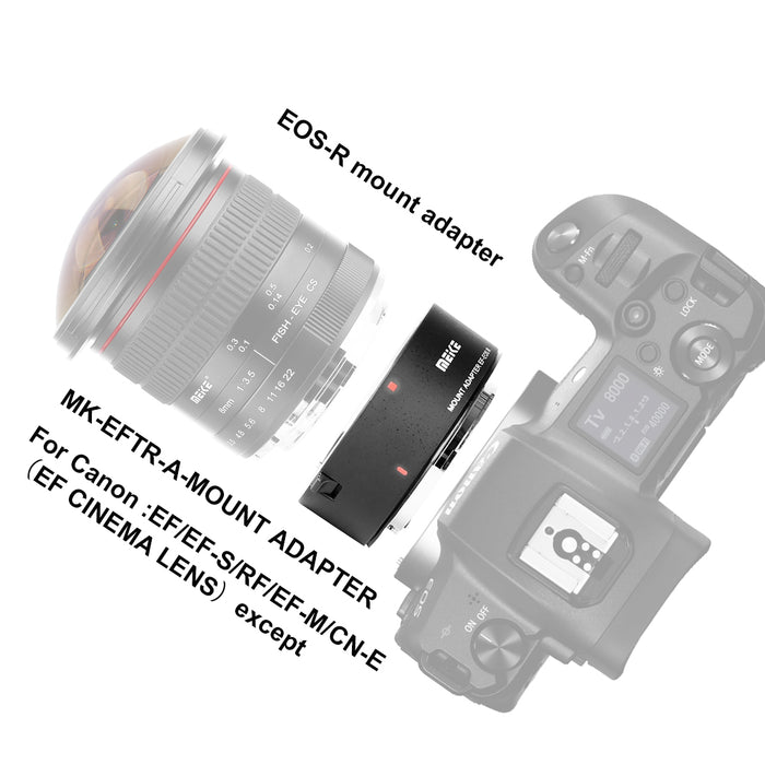 Meike MK-EFTR-A Auto Focus Lens Adapter -EF EF-S lens to EOS-R Camers such as Canon EOS R RP R5 R6 R7 R10 C70 and RED Komodo